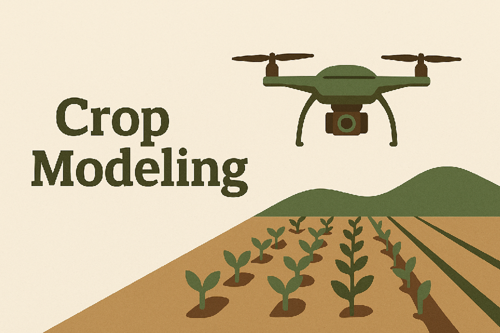 Translating the Language of Crops: My Journey in Model Optimization at Jiangsu Agricultural Research